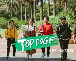《TOP DOG》：警犬搭档破奇案，热血剧情的背后是忠诚与救赎！